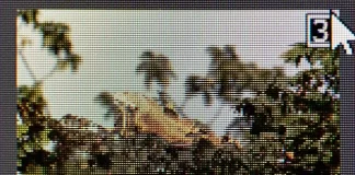 Hvad er forskellen mellem JPG og JPEG