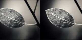 Hvad er skarphedsindstillingen på et tv?