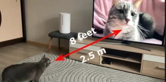 Betragtningsafstand for et 65-tommers tv